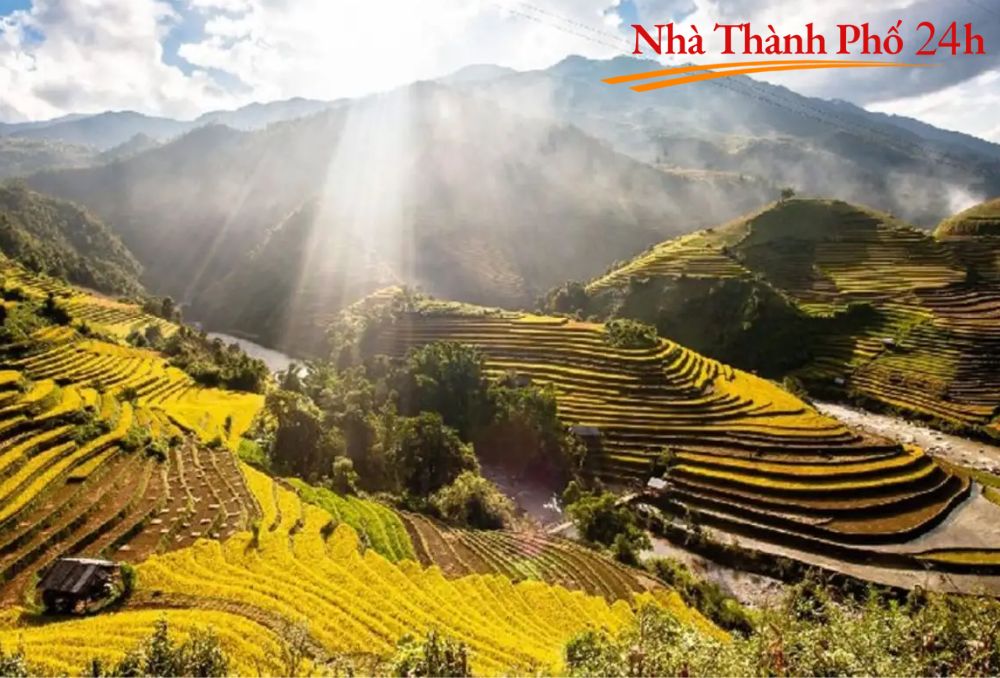 Tuyển dụng Nhà Thành Phố 24h (5)